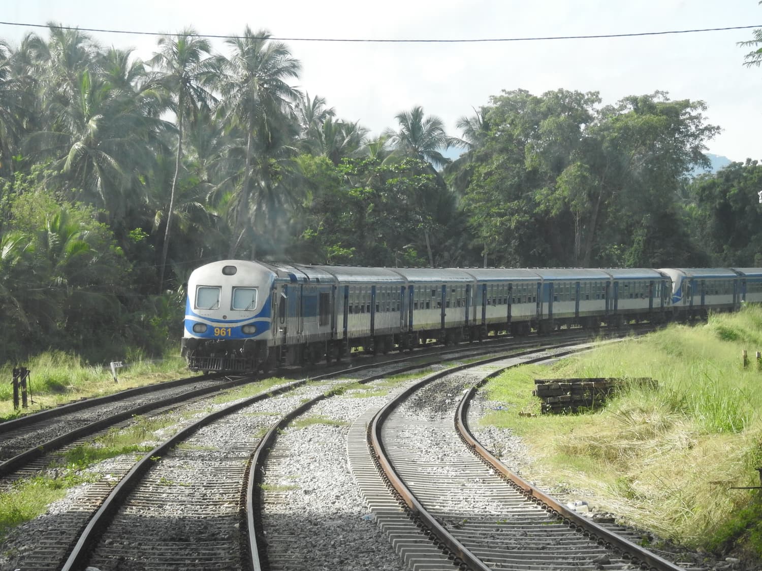 A blue Sri Lanka Railways passenger train on a curving track through palms